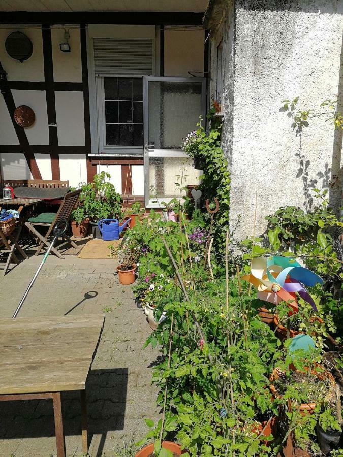 Ferienwohnung Burg Lindenfels Bagian luar foto